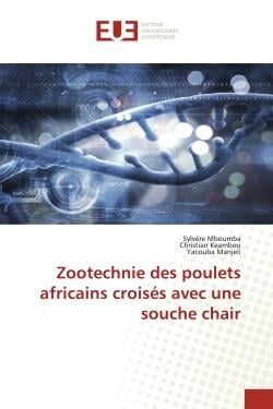 Zootechnie des poulets africains croisés avec une souche chair