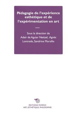 Pédagogie de l'expérience esthétique et de l'expérimentation en art