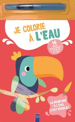 Coloriage - l'ours