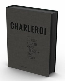 Stephan vanfleteren charleroi il est clair que le gris est noir /francais