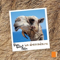 PEAU, POILS ET PATTES : le dromadaire