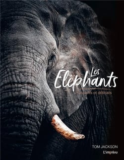 Les éléphants - puissants et délicats