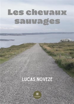Les chevaux sauvages