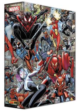 Marvel-Verse : Coffret Spider-Verse - COMPTE FERME