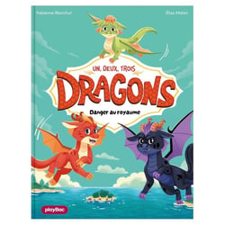 Un, deux, trois dragons Tome 1 : Danger au royaume