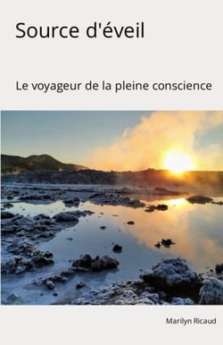 Source d'éveil : Le voyageur de la pleine conscience