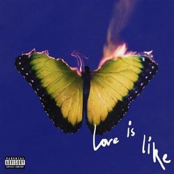 Love Is Like