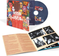 Magical Realism: The Best Of The Blue Aeroplanes 1