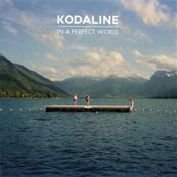 In a perfect world - CD