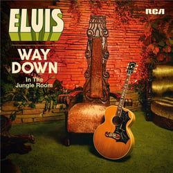 Way down in the jungle room - CD