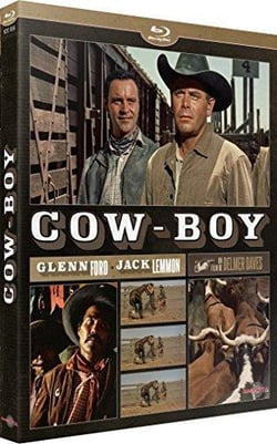 Cow-Boy