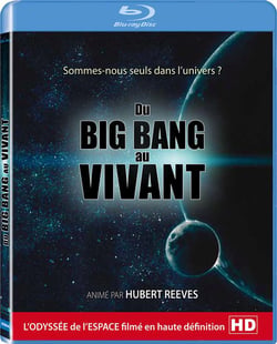 Du Big Bang au vivant