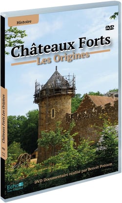 Châteaux-forts : les origines