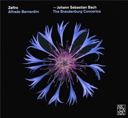 The Brandenburg concertos