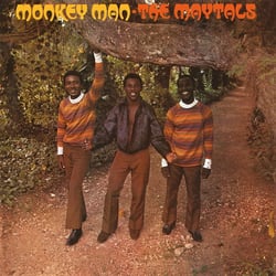 Monkey Man - édition limitée colorée