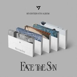 Face The Sun