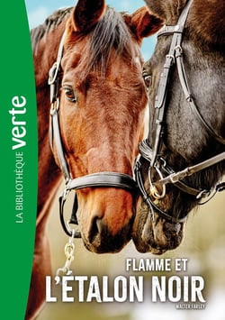 L'étalon noir Tome 17 : Flamme et l'Étalon noir