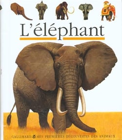 L'éléphant