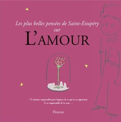 Les plus belles pensées d'antoine de saint-exupéry sur l'amour