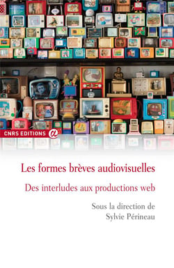 Les formes brèves audiovisuelles - des interludes aux productions web