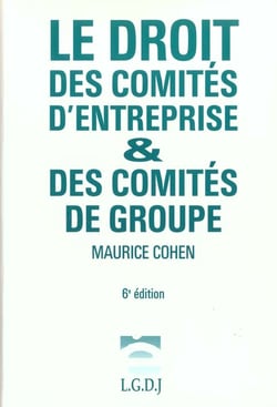 Les comités d'entreprise & des comités de groupe (6e édition)