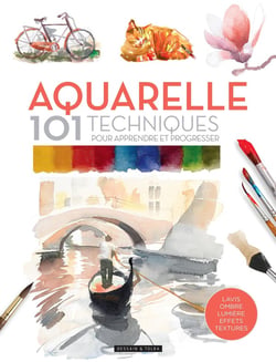 Aquarelle - 101 techniques pour apprendre et progresser