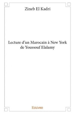 Lecture d'un marocain à new york de youssouf elalamy