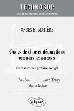 Ondes de choc et détonations - de la théorie aux applications (niveau C)