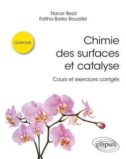 Chimie des surfaces et catalyse : cours et exercices corrigés