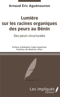 Lumière sur les racines organiques des peurs au Bénin - des peurs structurales