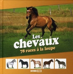 Les chevaux - 78 races à la loupe