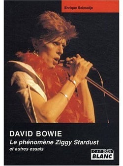 David bowie- le phénomène ziggy stardust et autres essais