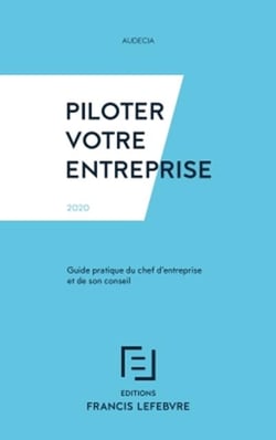 Piloter votre entreprise - guide pratique du chef d'entreprise et de son conseil (édition 2020)