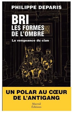 Bri, les formes de l'ombre Tome 2