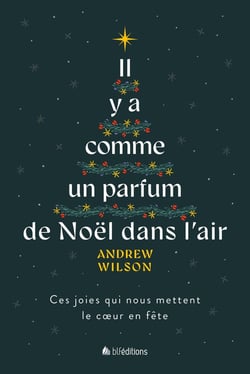 Il y a comme un parfum de Noël dans l'air : Ces joies qui nous mettent le coeur en fête