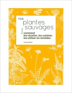 Nos plantes sauvages - comment les récolter, les cuisiner, les utiliser en remèdes