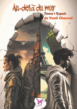 Au-delà du mur
