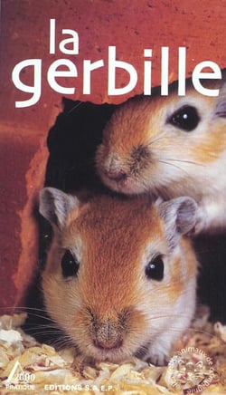 La gerbille