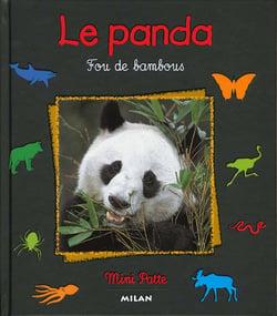 Le panda fou des bambous