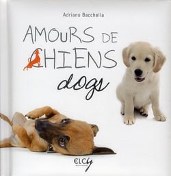 Amours de chiens