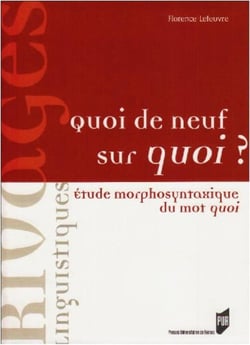 Quoi de neuf sur quoi ? étude morphologique du mot quoi