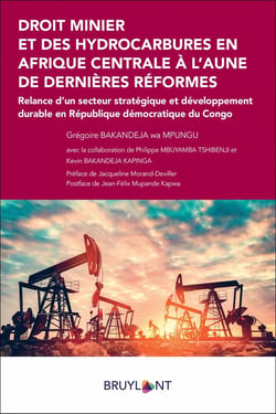 Droit minier et des hydrocarbures en Afrique centrale à l'aune des dernières réformes : relance d'un secteur stratégique et développement durable en République démocratique du Congo