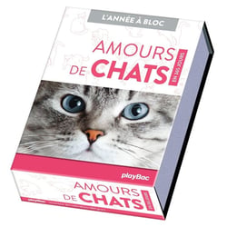 L'année à bloc : amours de chats en 365 jours