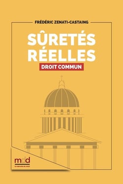 Frédéric ZENATI-CASTAING, Sûretés réelles, Droit commun