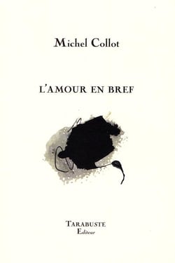 L'amour en bref - michel collot
