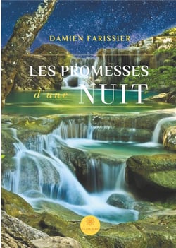 Les promesses d'une nuit
