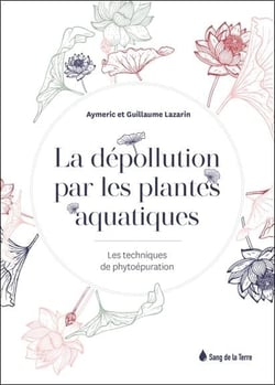 La dépollution par les plantes aquatiques : les techniques de phytoépuration