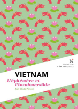 Vietnam - l'éphémère et l'insubmersible