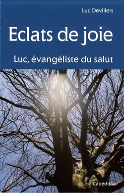 Éclats de joie, Luc évangéliste du salut