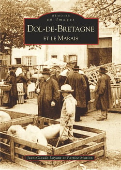 Dol-de-Bretagne et le marais